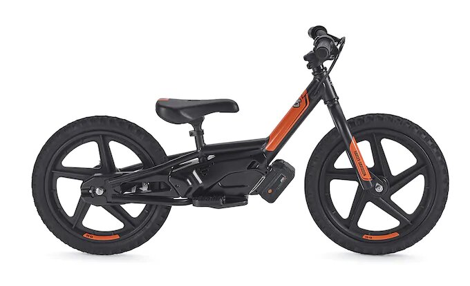 IRONe16™ Electric Bike